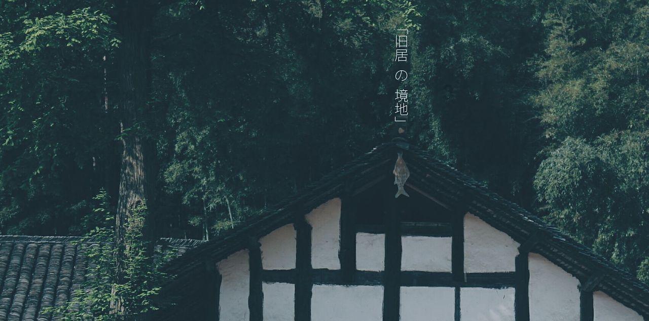 如果捡到被遗弃的婴儿，想自己养，可以吗？游戏画面