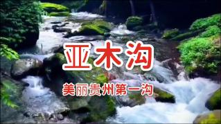 逃离幽灵之林