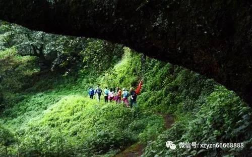 蓝狐视频