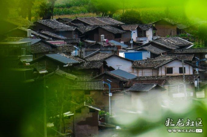 福利来袭!马上加入舞蹈韧带拉伤压开就好了么,解答你的疑问