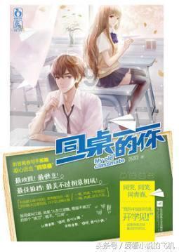 寻找萌宠松鼠