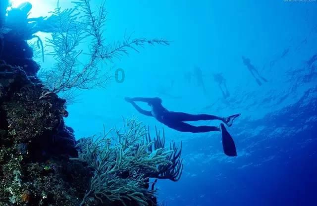 加快赋能供应商数字化智能化升级,SHEIN持续构建品牌生态出海
