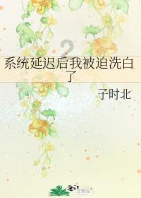 泡泡趴