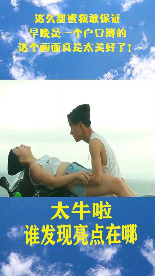 动物帮帮忙保卫家园