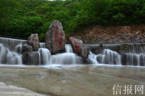 奥日与黑暗森林