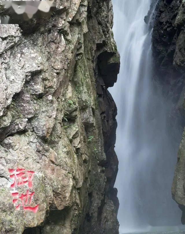 了解迷迭香牛小排的做法? 知识星球,开启知识之旅
