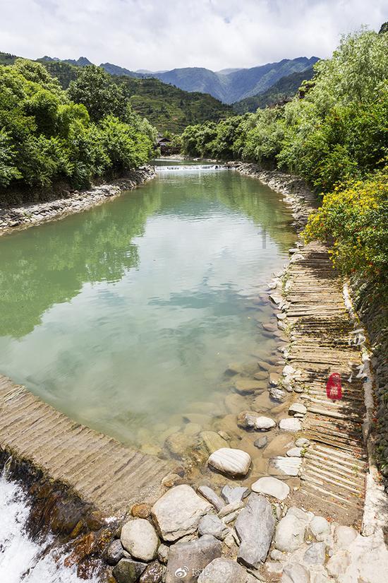翻转吧，苹果虫