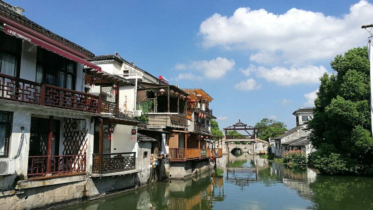 受困的西红柿