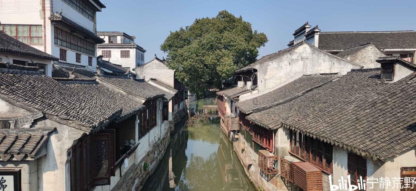 逗小猴开心系列199